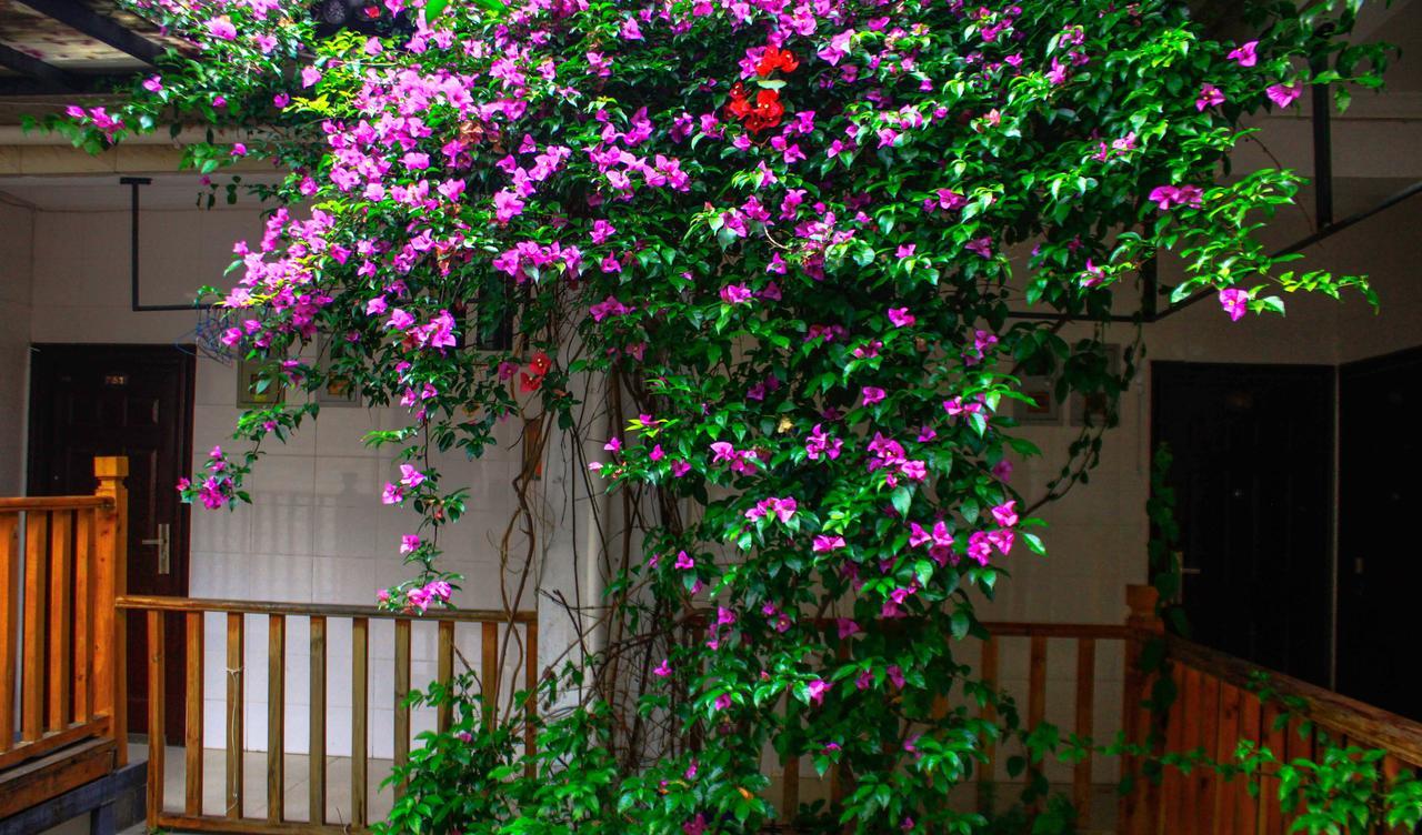 Dali Lao Shay Youth Hostel Экстерьер фото
